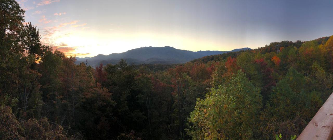 Heavenly View - Bear Themed Cabin, Hottub, Dog-Friendly, Near Gatlinburg Extérieur photo