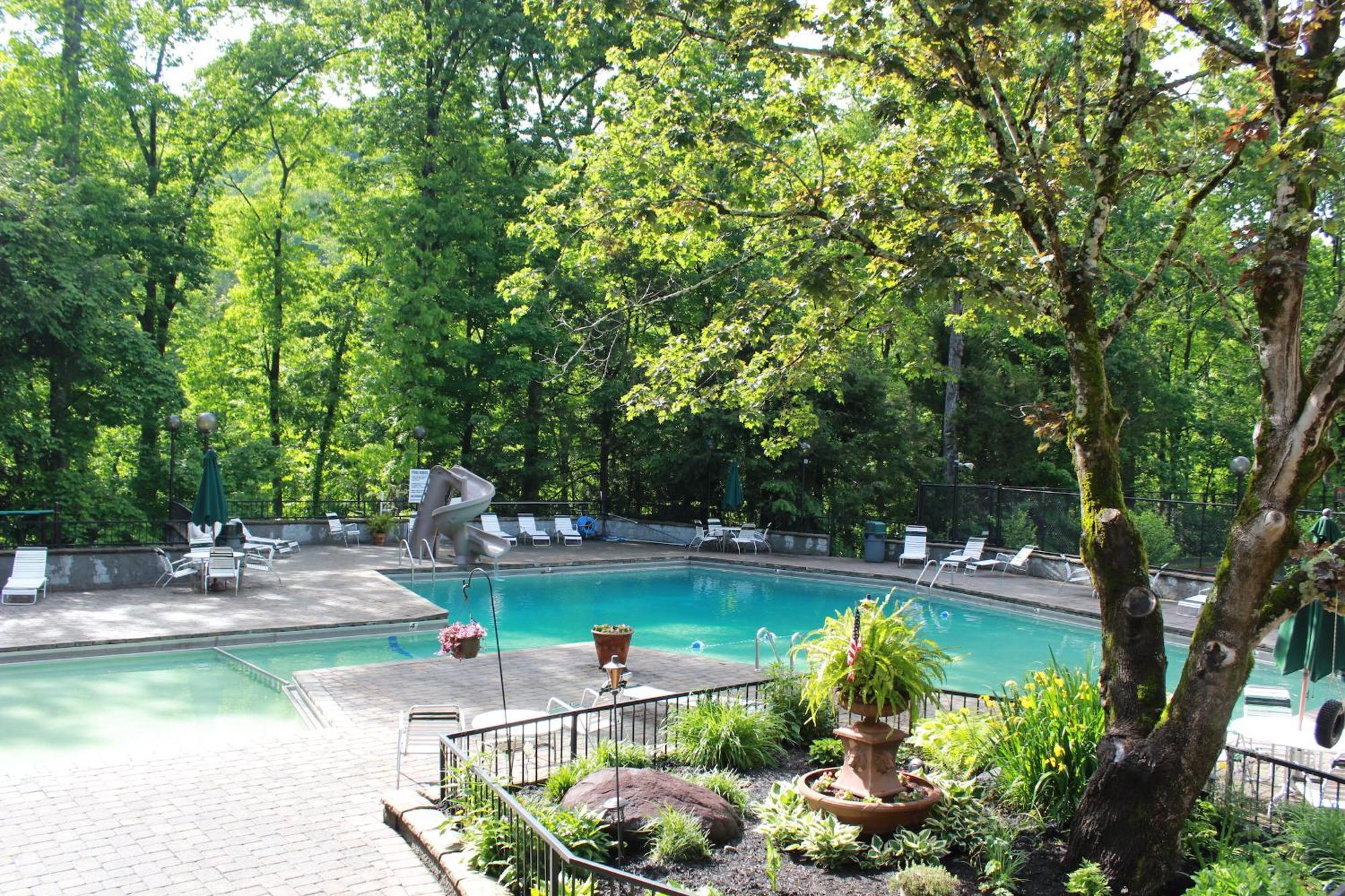 Heavenly View - Bear Themed Cabin, Hottub, Dog-Friendly, Near Gatlinburg Extérieur photo